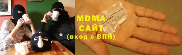 индика Надым
