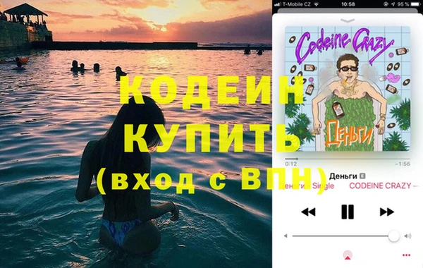 индика Надым