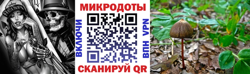 где купить наркоту  Яранск  Галлюциногенные грибы прущие грибы 